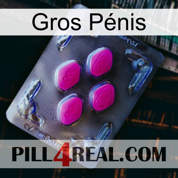Gros Pénis 02